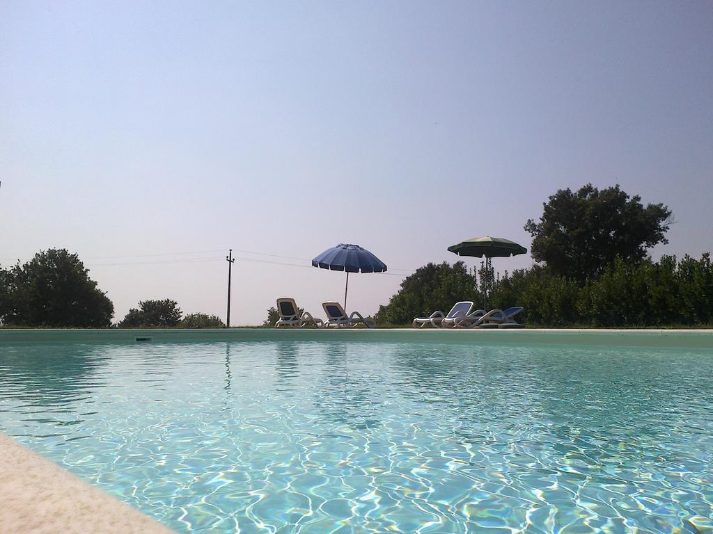 Agriturismo Monte Dell'Olmo Trevignano Romano Dış mekan fotoğraf