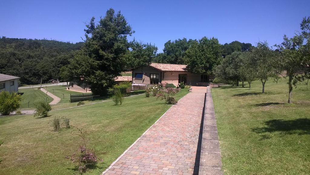 Agriturismo Monte Dell'Olmo Trevignano Romano Dış mekan fotoğraf